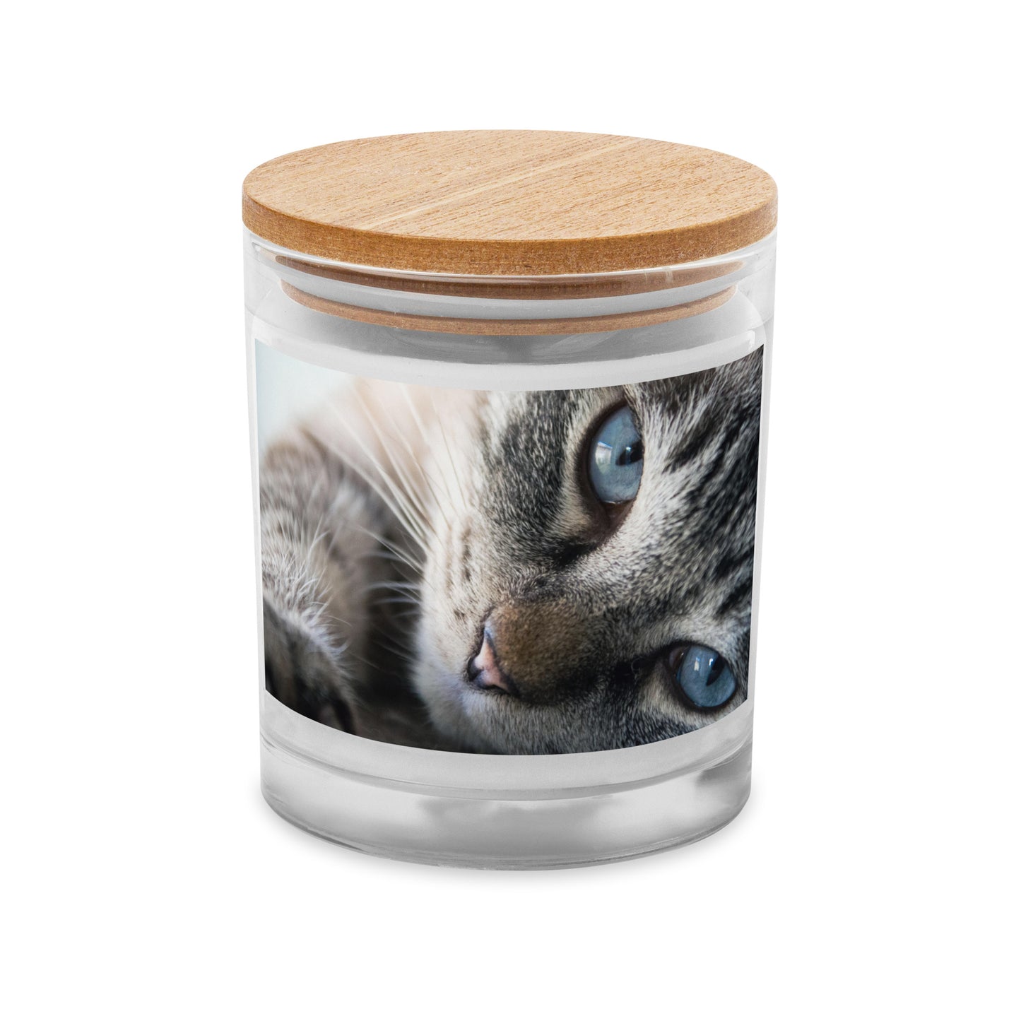 CAT BOUTIQUE- BLUE EYE CAT Glass jar candle