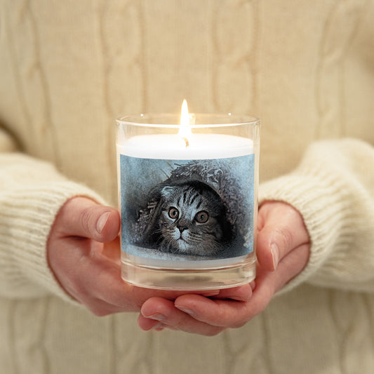 CAT IN BLANKET Glass jar candle