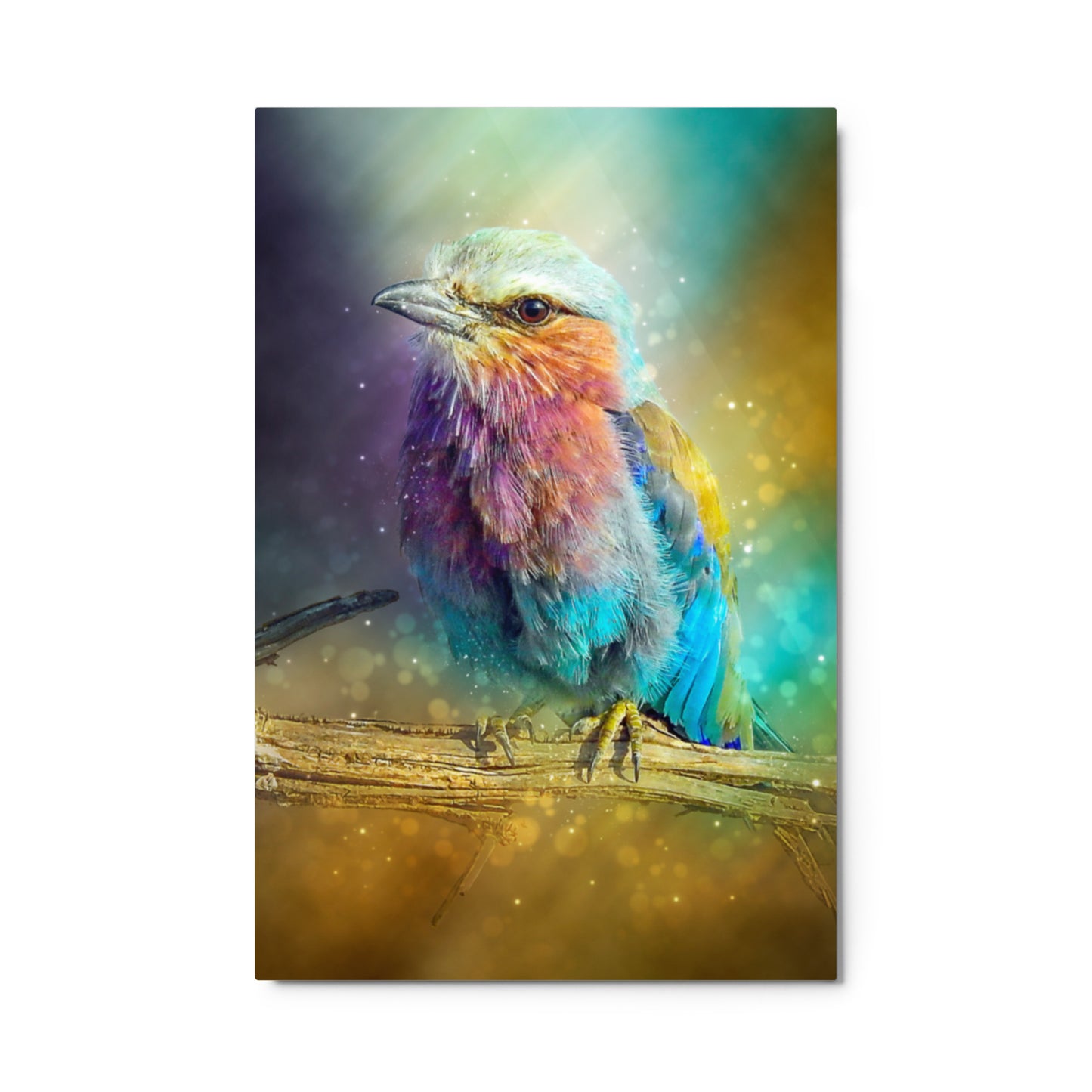 BIRD COLUR  BURST ART Metal prints