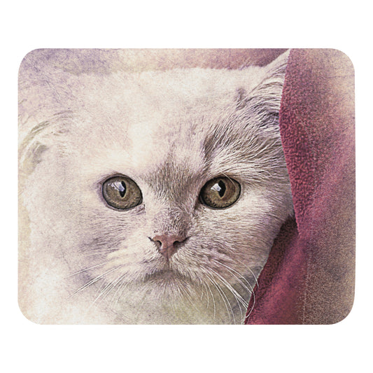 WHITE KITTEN Mouse pad