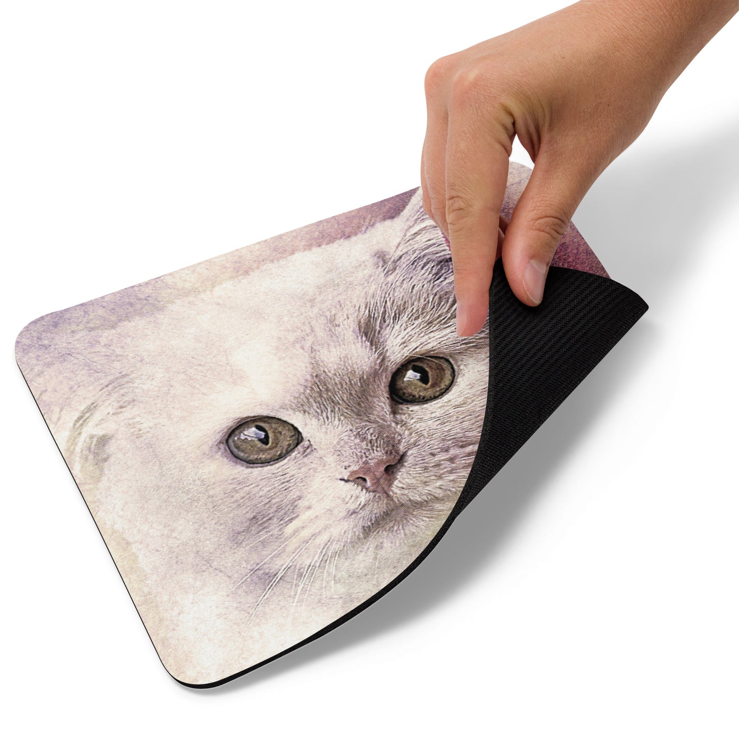 WHITE KITTEN Mouse pad