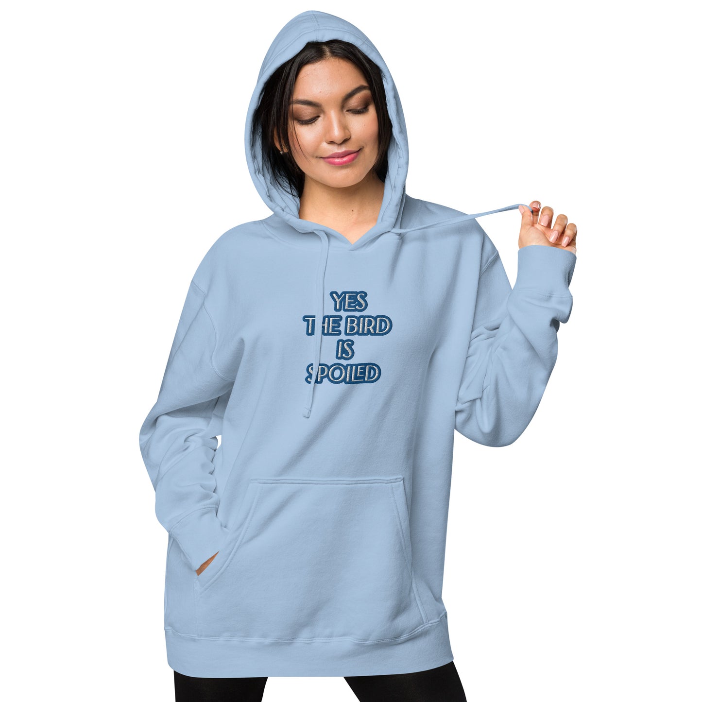 YES THE BIRD IS SPOILED--BLUE-Unisex pigment-dyed hoodie