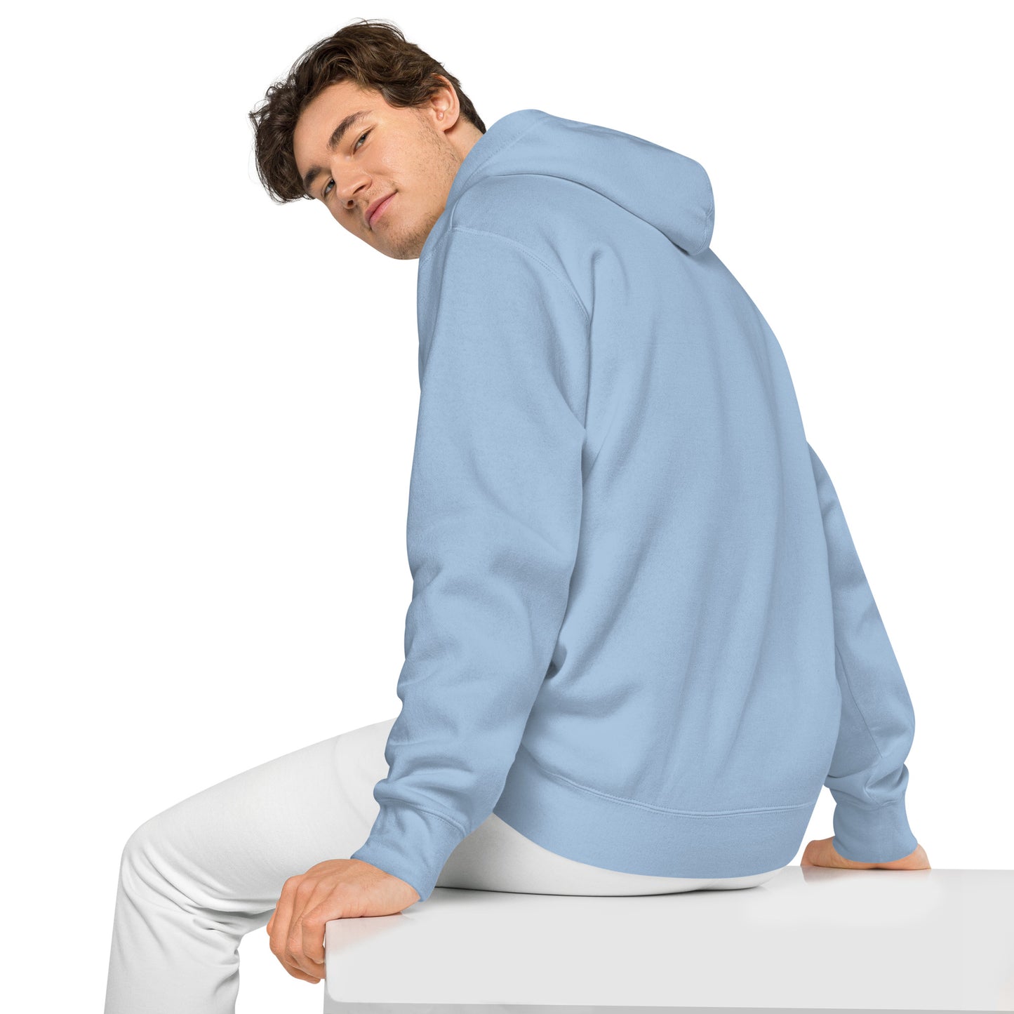 OFFICIAL BIRD DAD -BLUE Unisex pigment-dyed hoodie