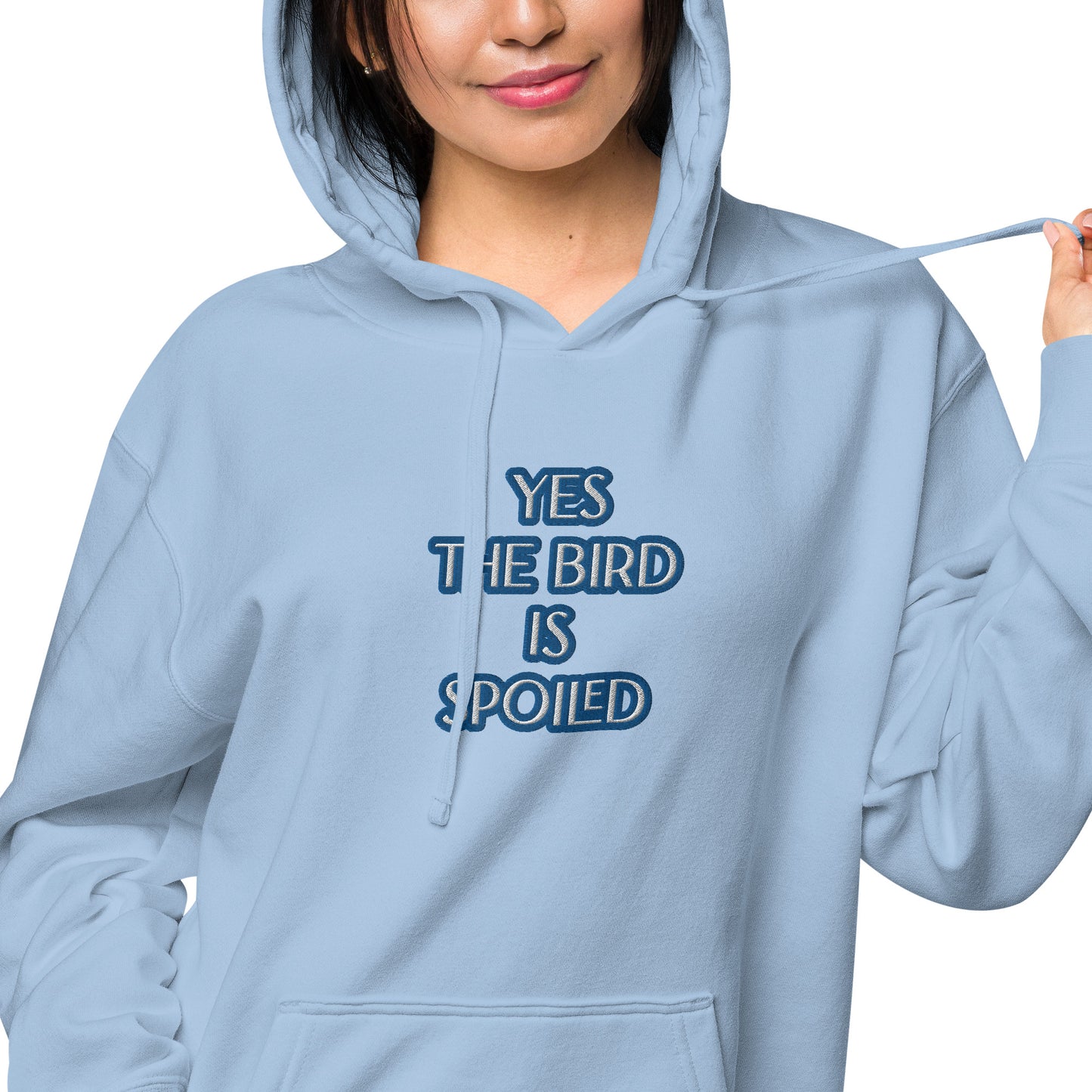 YES THE BIRD IS SPOILED--BLUE-Unisex pigment-dyed hoodie