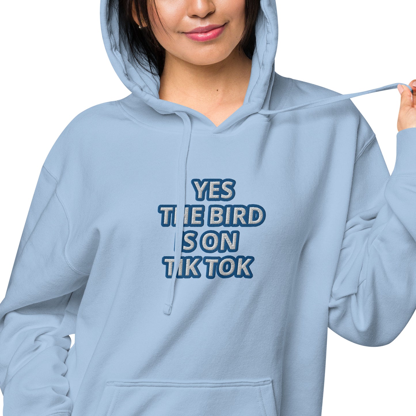 YES THE BIRD IS ON TIK TOK--BLUE---Unisex pigment-dyed hoodie